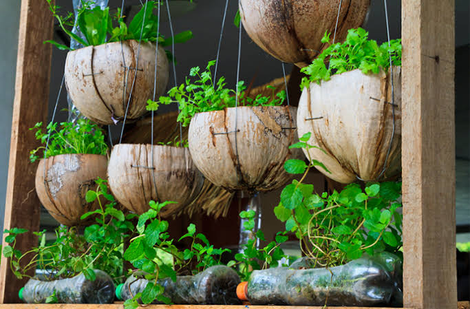 Sack farming